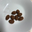 오다다 저당 아몬드 초코볼 후기 마이노멀 초코헬스 제품과 상세 비교
