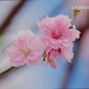 노인전문요양원 해피존