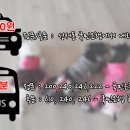 스타펫미팅 이미지