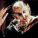 ​THE UNTOLD TRUTH OF CHRISTMAS WITCHES