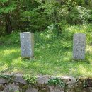 쌍계사 상록수림 이미지