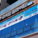 수목토일라이트예산 이미지