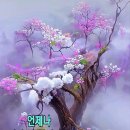 람보처럼 살고파 ~~파 이미지