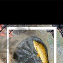 아름낚시터 이미지