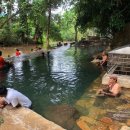 (주)그린월드 이미지