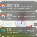 컴프랜드 | 언로그 : 상하이 로맨스🇨🇳🤍