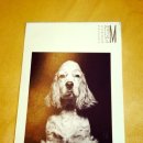 더M호텔 이미지