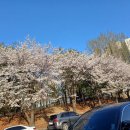 벤뎅이포장마차 이미지