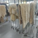 그린특수세탁 이미지