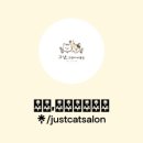 고양이 미용실 그냥 이미지