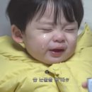 카더가든 카카오 검색결과