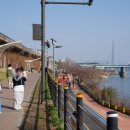 뚝섬한강공원-87 이미지