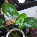 참사랑안마원 이미지