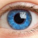 애체안경콘택트 이미지