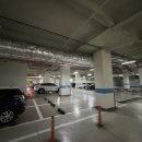 홍익김밥 이미지