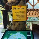 위드카 | 모리셔스 카젤라파크 워크위드라이언 에코라이더 툴라와카 후기