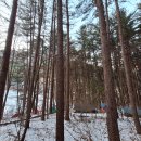 낭만캠프 이미지