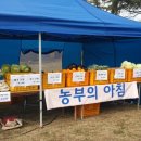 조수리엔 이미지