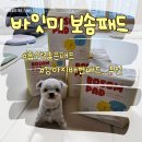 바잇미 보솜 두께 흡수력 끝판왕 강아지 배변패드 추천 후기