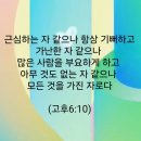 ──○ㅇ◈ 치유의 망대 ◈ㅇ○── 이미지