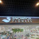 스노우폭스플라워교보