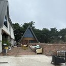 스테이 파랑 이미지