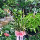 진북농협 하나로마트 이미지