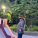 손호균통증의학과 네이버블로그