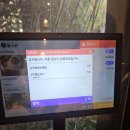 대구 들안길 해초꼬막비빔밥 맛집 &#34;풍국면&#34; 내돈내산 후기