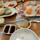 가락시장회센터 맛집 노다지수산 방문후기