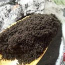 토룡농장 이미지