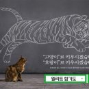 엘리트 합기도&태권도 이미지