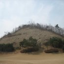 상령지 이미지