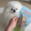 포리네 | 강아지 건강간식 추천 | 포리틀 통살 동결건조 트릿 급여 후기 (닭안심·오리연골)