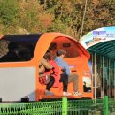 바이오밸리길 이미지