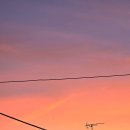 푸라닭 부천소사본동점 이미지