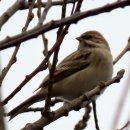 새들의 정원 이미지