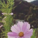글라스라라