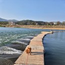화강 수변 오토 캠핑장 이미지