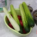 달아펜션 이미지