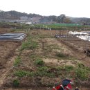 저두농장 이미지