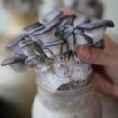 넓은들마을 이미지