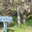 소리갤러리