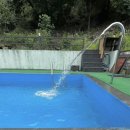 놀러와 피시 이미지