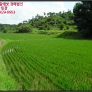 공주시탄천면덕지보건진료소 네이버블로그