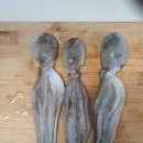 남해쭈꾸미 이미지