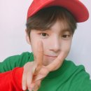 린비또
