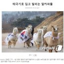 여진PC 이미지