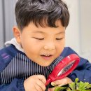 놀작늘봄미술교습소 이미지