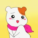 모모폴스튜디오 이미지